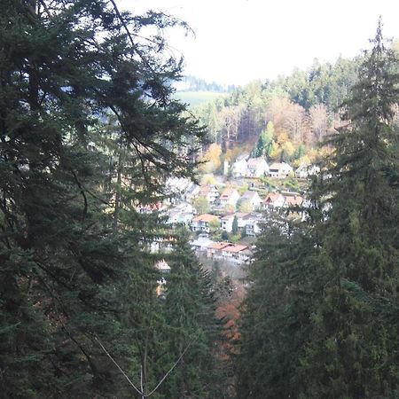 Auszeit Apartment: Black Forest Retreat with Castle Views Hornberg Exterior photo